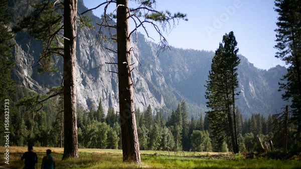 Obraz Peaceful mountain valley in Yosemite