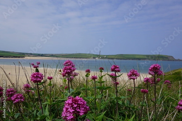 Obraz Padstow, Rock, Cornwall north coast