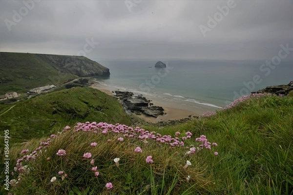 Obraz Cornwall North Coast, Trebarwith