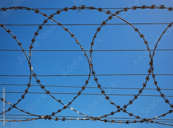 Fototapeta Flat security barrier made of reinforced barbed tape on the fence.