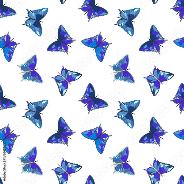 Fototapeta Seamless pattern with blue butterflies on a white background, vector