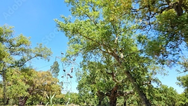 Fototapeta Power Tower with Stork Nests Surrounded by Forest Trees