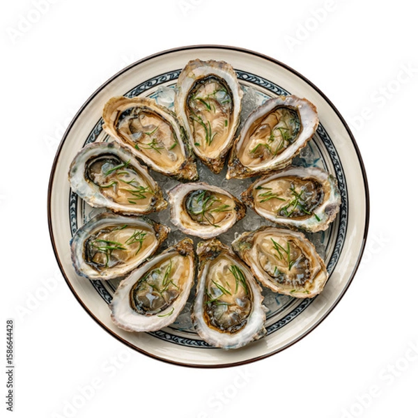 Fototapeta Cooked oysters delicacy dish top view isolated on transparent background, clip art