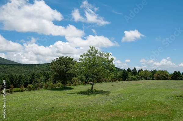 Fototapeta 阿蘇国立公園