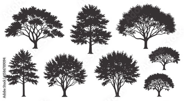 Fototapeta Diverse Black Tree Silhouettes Set