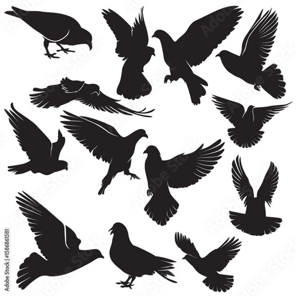 Fototapeta Illustration vector graphics of A set dove silhouette in various dynamic poses perfect for background, logo, Clipart, stickers, animals themed, decorations, design templates,etc