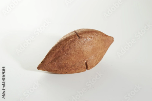 Obraz pili nut