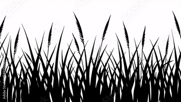 Fototapeta Abstract Black and White Silhouette of Tall Grass, Nature Border, Minimalist Design