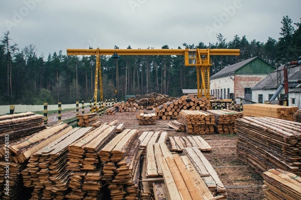 Fototapeta Wood logging, sorting, transportation and processing on sawmill