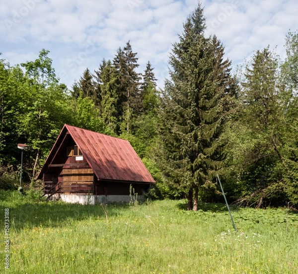 Obraz abandoned chalet on meadow with trees around