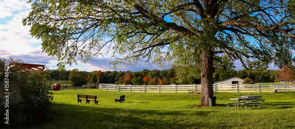 Fototapeta Scenic Michigan state university (MSU) tollgate farm in Novi, Michigan during autumn time panoramic view.
