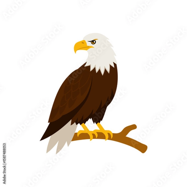 Fototapeta bald eagle perched on branch hand paint and vector