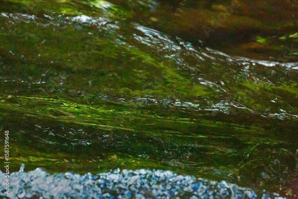 Obraz Gentle ripple in a small rapids of the Sugar River.