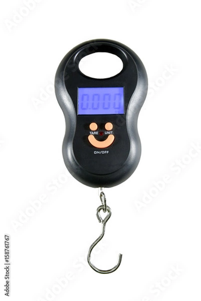 Obraz Portable Electronic Scale isolated on white background