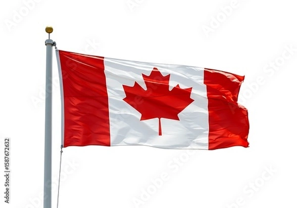 Obraz A waving canadian flag with a red maple leaf on a white background attached to a metal flagpole