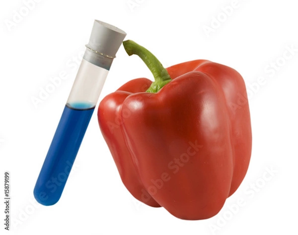 Obraz Lab pepper