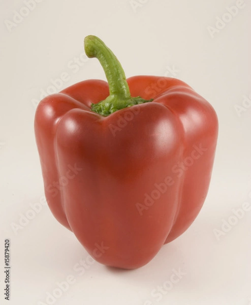 Obraz Perfect red pepper