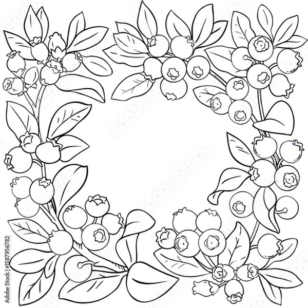 Fototapeta Blueberry Branch with Berries and Leaves Outline Frame. Organic natural nutritional healthy food ingredient, vegetarian diet product. Vector isolated for design or decoration.