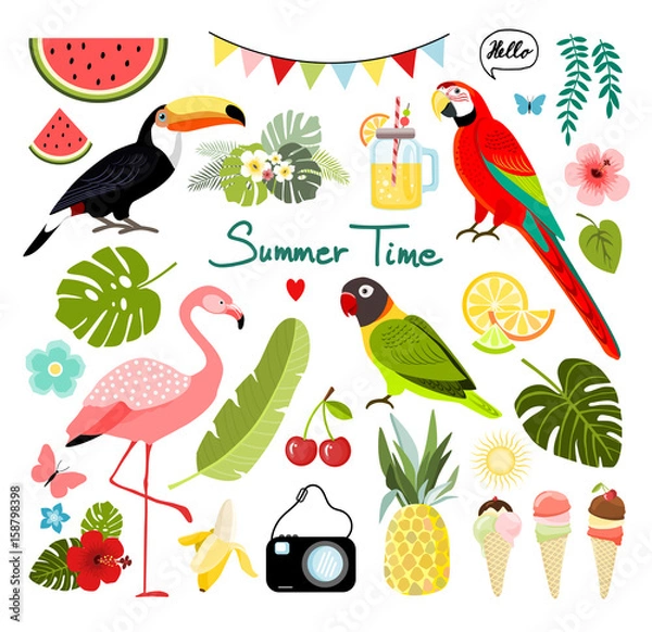 Obraz Summer tropical graphic elements. Parrot, toucan and flamingo bird. Jungle floral illustrations, palm leaves, hibiscus, flowers, tropical fruits. Isolated vector illustration