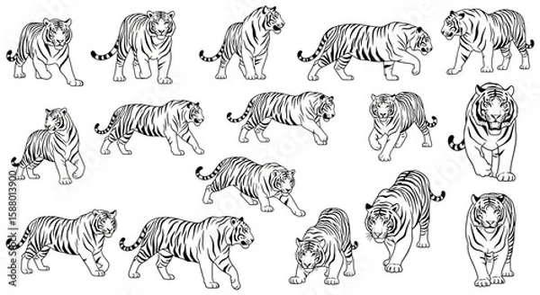 Obraz Various tiger illustrations in different poses and angles  