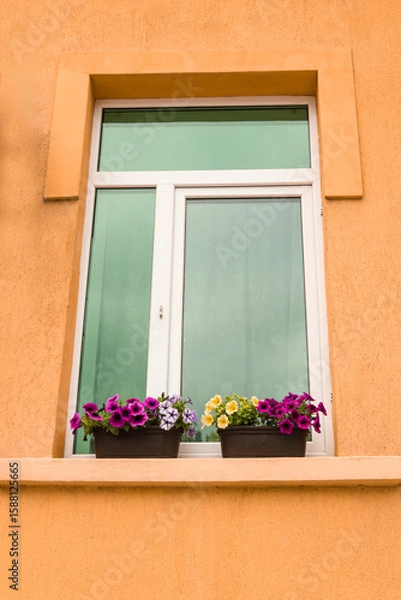 Obraz Brown flower pots with multicolored flowers are placed on a windowsill, adding a touch of color and charm. Peach wall of a building with windows decorated with flowers