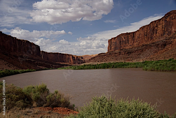 Fototapeta Colorado River from Potash Road