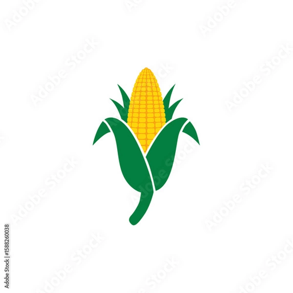 Fototapeta raw corn that is ready to be harvested and processed for consumption