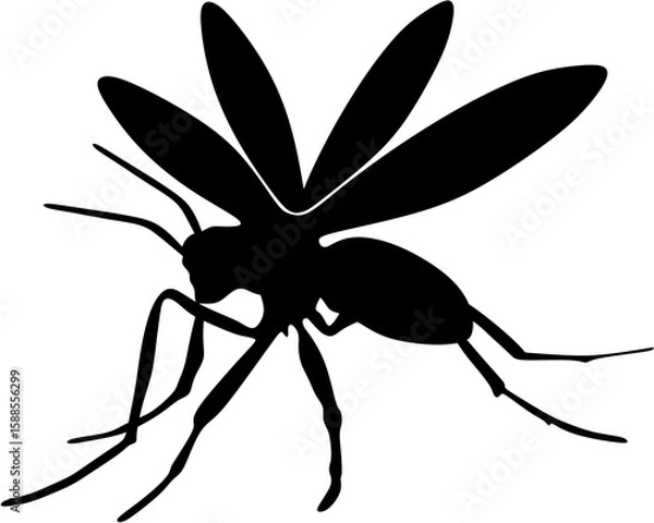 Obraz background ilustration mosquito vector 

