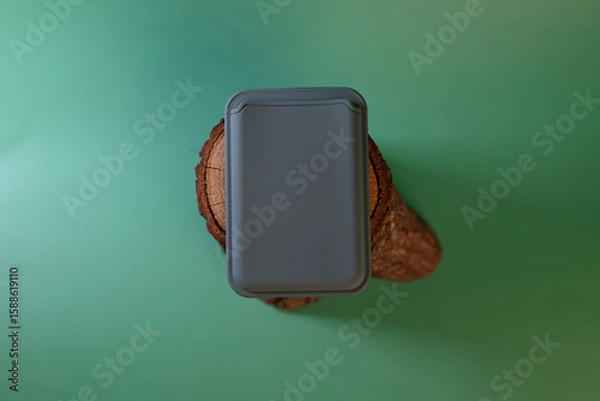 Obraz cardholder with magnet on green background