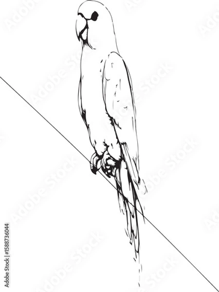 Fototapeta Elegant one-line drawing of a parrot perched on a branch, minimalist and black-and-white only