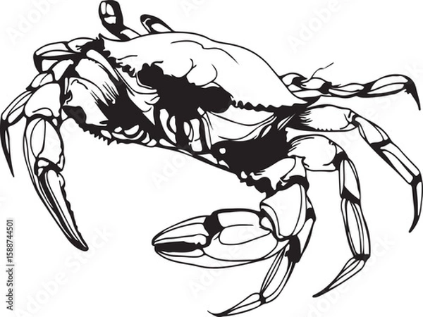 Fototapeta  Minimalist and elegant continuous line art of a crab, black-and-white only