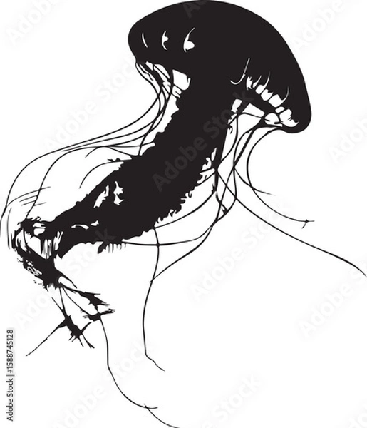 Fototapeta  Minimalist and elegant line art of a jellyfish floating, one continuous black-and-white line