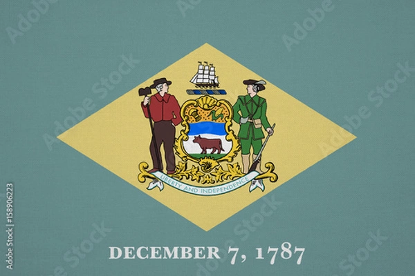 Obraz Delaware flag with fabric texture