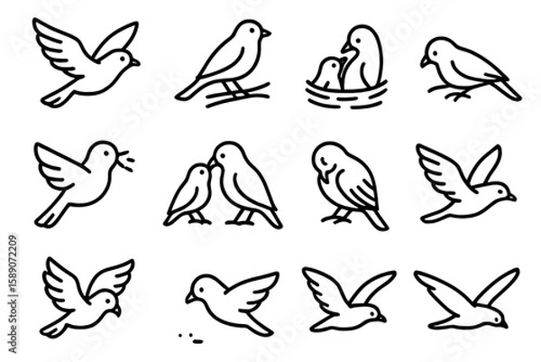 Fototapeta Set of 12 bird icons on dark background: flying, nesting, perched