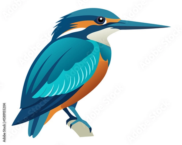 Obraz kingfisher bird logo illustration