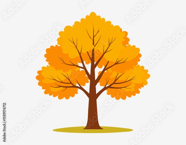 Fototapeta Autumn Tree with Rounded Yellow-Orange Canopy on White Background