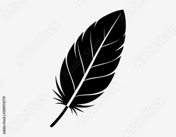 Obraz Feather Silhouette with Sharp Detail on White Background