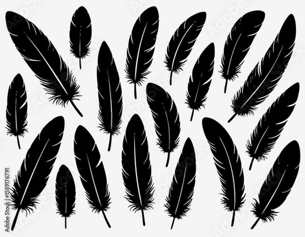 Obraz Seamless Black Feather Pattern on White Background