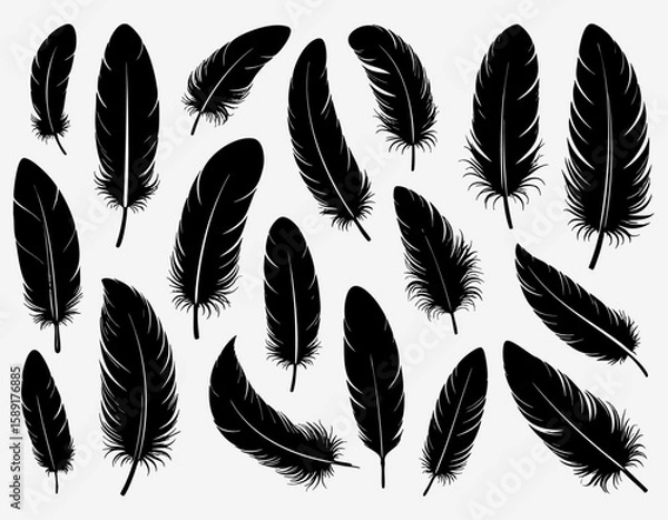 Fototapeta Floating Black Feather Silhouettes Pattern