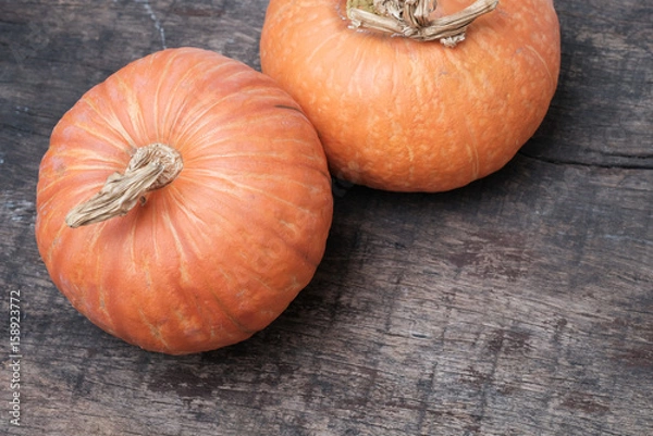 Obraz Isolated orange pumpkin