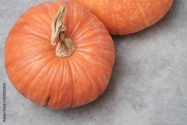 Obraz Isolated orange pumpkin