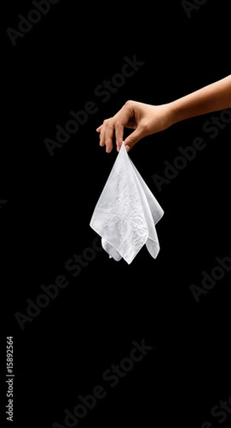 Obraz hand holding hankie