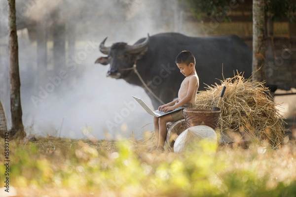 Obraz Asian country boy playing computer notebook on farm background