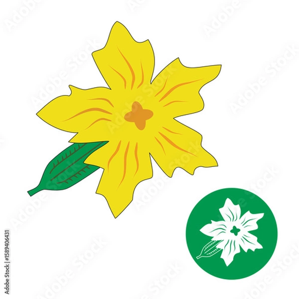 Fototapeta Cucumber flower. Small cucumber with flower vector.
