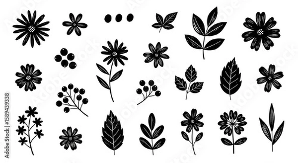 Fototapeta Black and white flower and leaf outline botanical vector set