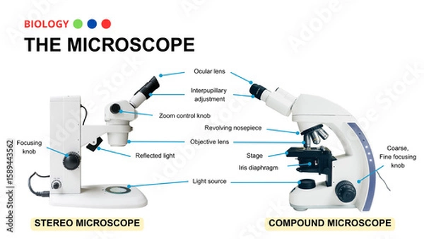 Fototapeta Microscope Types and Parts Diagram: Stereo vs. Compound Microscopes for Biology Education