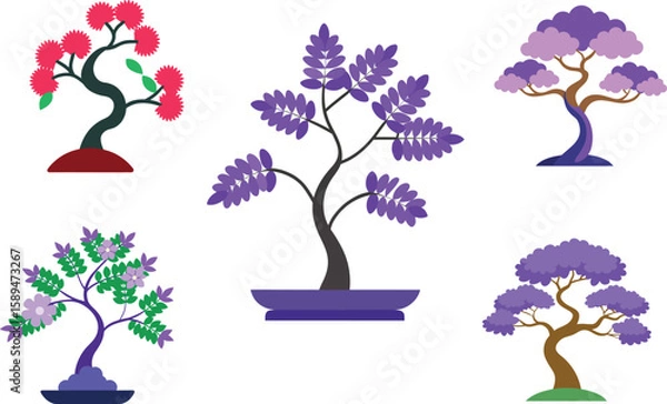 Obraz Jacaranda Mimosifolia Bonsai Vector Illustration