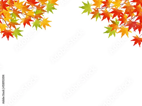 Fototapeta 紅葉　水彩イラスト