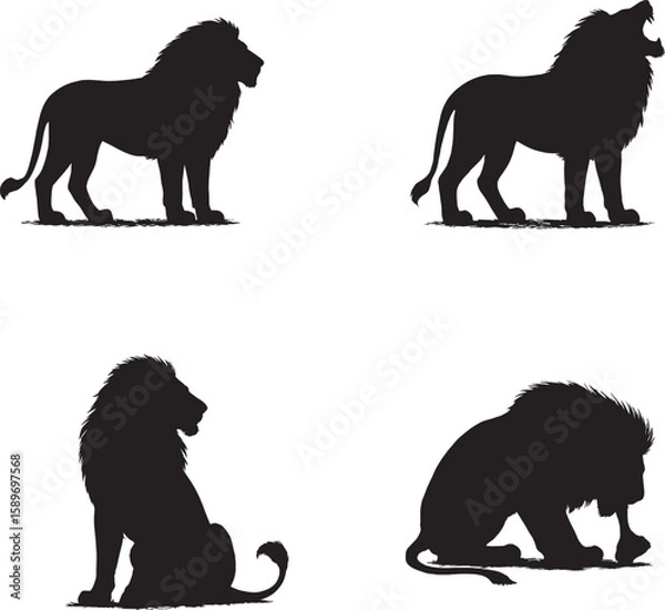 Fototapeta Lion Sitting, Roaring, Walking, and Eating | Wild Animal Behavior in Action black and white silhouette 