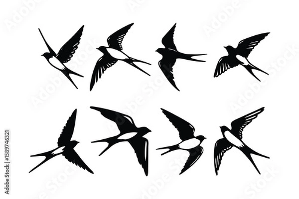 Fototapeta vector silhouettes of birds, birds are depicted in various dynamic poses with black, white, flying bird background Free Set bundle of Birds.
